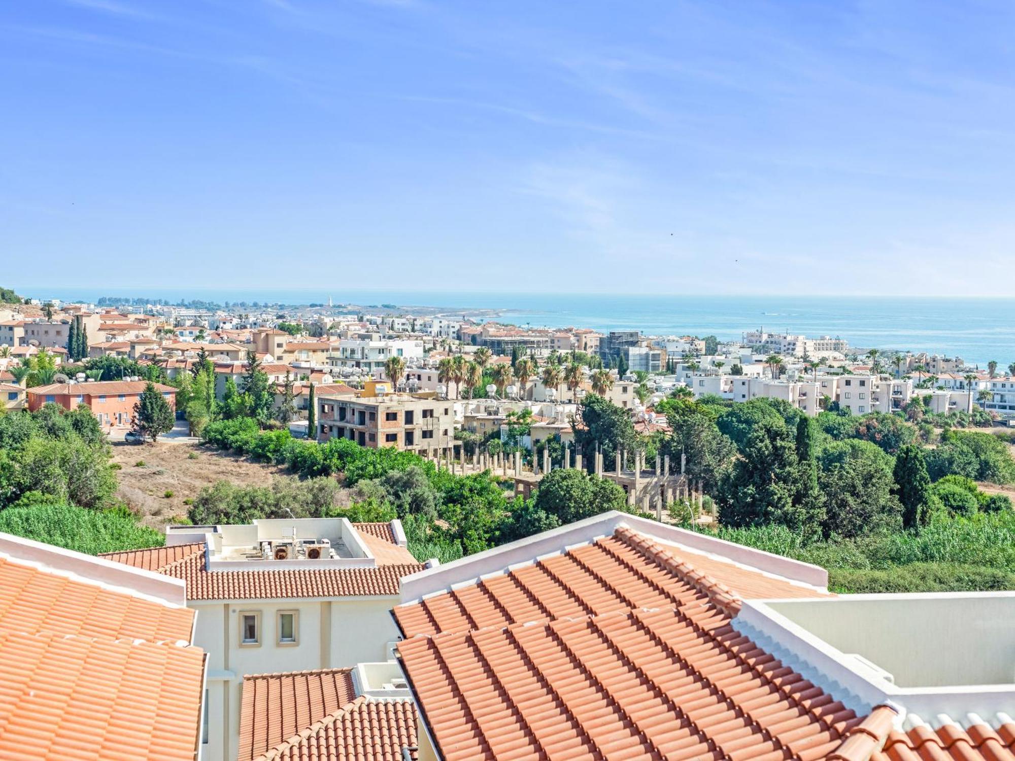 Sanders Seaview Klorakas Стая снимка